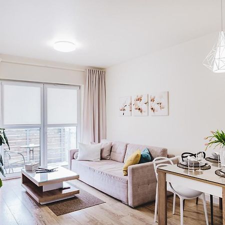 Apartament Niko Stary Toruń Extérieur photo