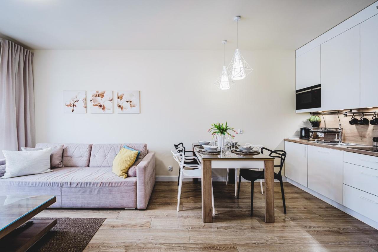 Apartament Niko Stary Toruń Extérieur photo